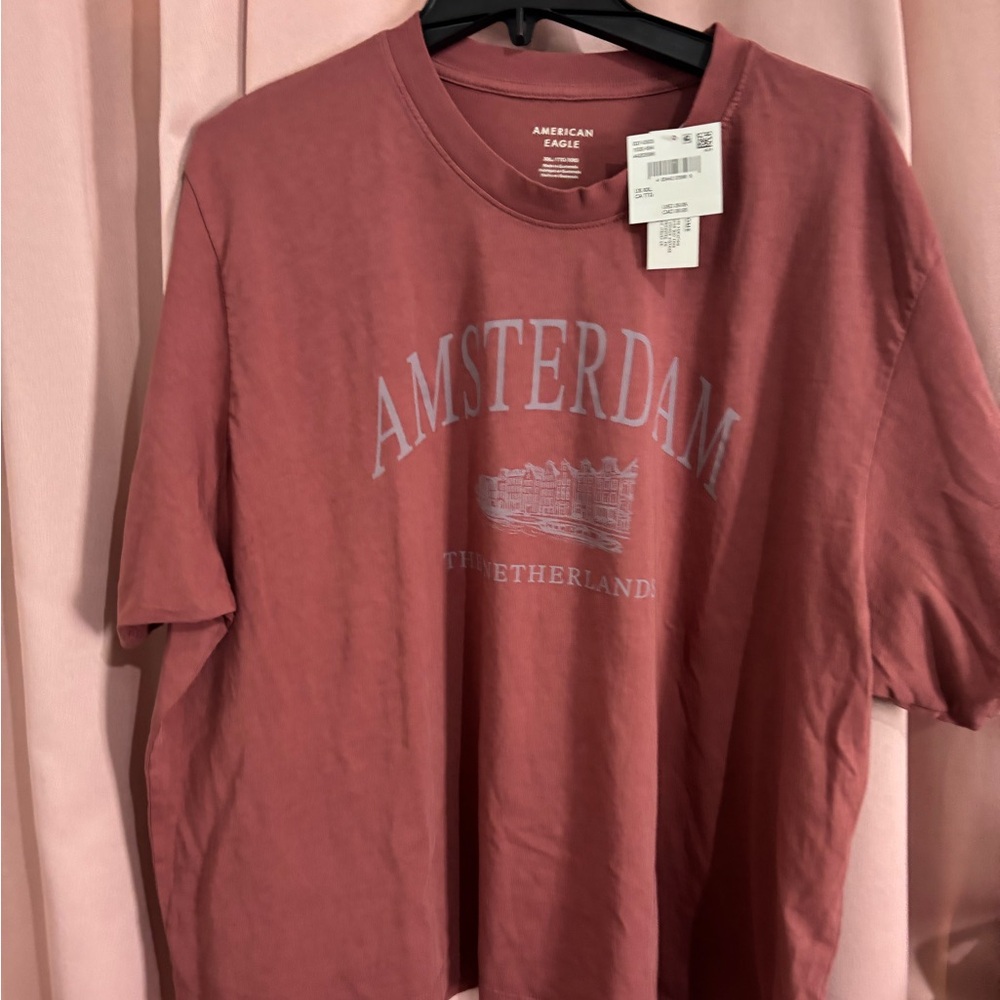 American Eagle Outfitters Amsterdam Graphic Tee - Dusty Rose